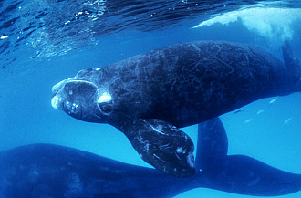 Photo by Sho Hatakeyama on Unsplash